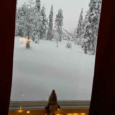 Apartmán Ruka Frost Peak
